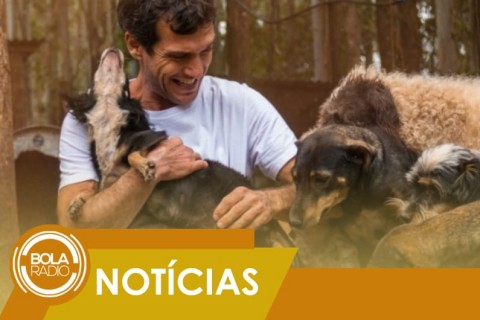 Carioca larga trabalho de engenheiro para cuidar de 400 cães em Santa Catarina